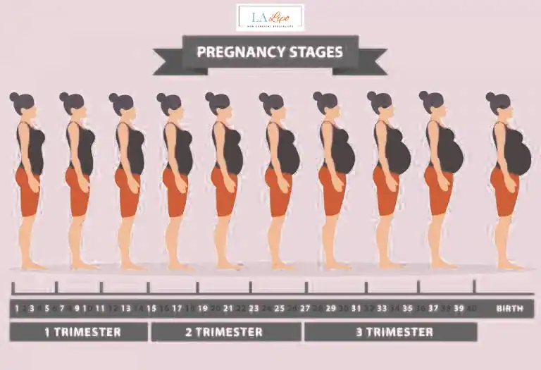 First Trimester (Weeks 1–12): Early Changes You Might Not Notice Waterlooville